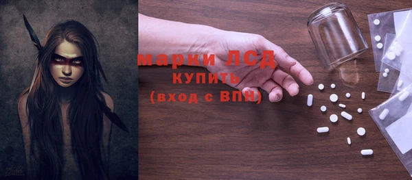 прущие грибы Заволжье
