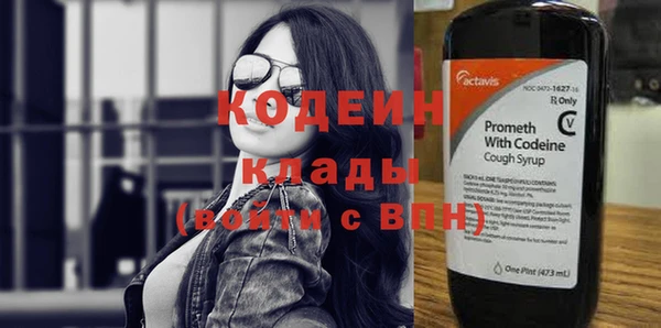 прущие грибы Заволжье