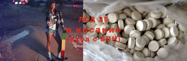 прущие грибы Заволжье