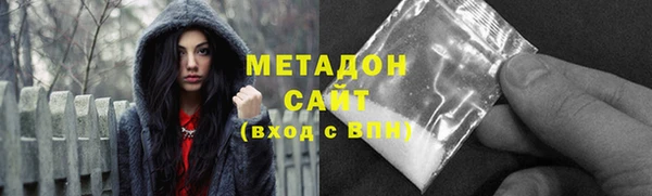 прущие грибы Заволжье
