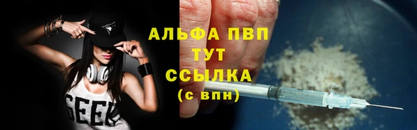 прущие грибы Заволжье