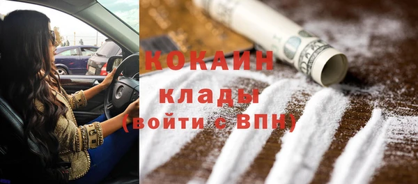 прущие грибы Заволжье