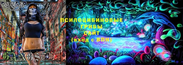 прущие грибы Заволжье