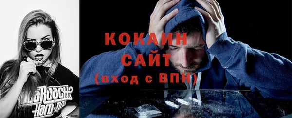 прущие грибы Заволжье